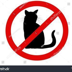 Meet your Posher, Declan